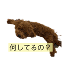 ちょこくんの日常（個別スタンプ：5）