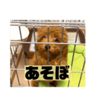 ちょこくんの日常（個別スタンプ：6）