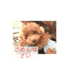 ちょこくんの日常（個別スタンプ：8）