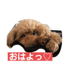 我が屋のお嬢様♡（個別スタンプ：1）