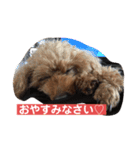 我が屋のお嬢様♡（個別スタンプ：2）
