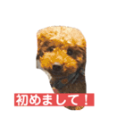 我が屋のお嬢様♡（個別スタンプ：4）