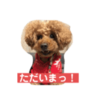 我が屋のお嬢様♡（個別スタンプ：5）