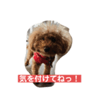 我が屋のお嬢様♡（個別スタンプ：6）