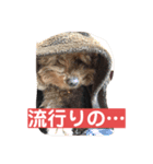 我が屋のお嬢様♡（個別スタンプ：12）