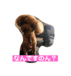 我が屋のお嬢様♡（個別スタンプ：14）