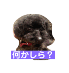 我が屋のお嬢様♡（個別スタンプ：24）