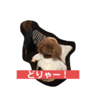 我が屋のお嬢様♡（個別スタンプ：26）