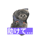 我が屋のお嬢様♡（個別スタンプ：29）