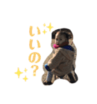 つきなのすたんぷ（個別スタンプ：29）