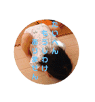 らんまるスタンプ③（個別スタンプ：22）