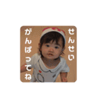 らんまるスタンプ③（個別スタンプ：31）