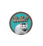 うちの猫シリーズ2.1（個別スタンプ：4）
