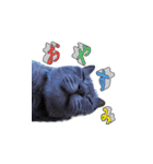 うちの猫シリーズ2.1（個別スタンプ：6）