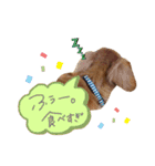 ダックスフンドのたいちくん❤︎（個別スタンプ：19）