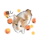 猫ねこ大好きスタンプ（個別スタンプ：3）