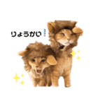ミー太とちゃちゃ丸（個別スタンプ：3）