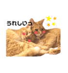 ミー太とちゃちゃ丸（個別スタンプ：5）