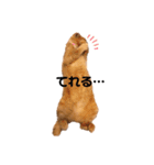 ミー太とちゃちゃ丸（個別スタンプ：8）