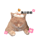 ミー太とちゃちゃ丸（個別スタンプ：9）