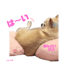 ララちゃんにお任せ❣️.Part4（個別スタンプ：3）