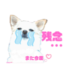 ララちゃんにお任せ❣️.Part4（個別スタンプ：8）