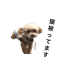 おむつ犬 くるた（個別スタンプ：2）