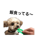 おむつ犬 くるた（個別スタンプ：7）