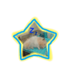 はむ太郎（個別スタンプ：4）