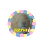 はむ太郎（個別スタンプ：7）