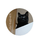 我が家のにゃんこさん（個別スタンプ：2）