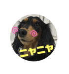 ちくわスタンプ②（個別スタンプ：7）