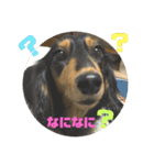 ちくわスタンプ②（個別スタンプ：8）