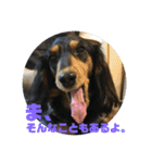 ちくわスタンプ②（個別スタンプ：13）