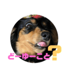 ちくわスタンプ②（個別スタンプ：16）