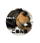 ちくわスタンプ②（個別スタンプ：17）