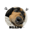 ちくわスタンプ②（個別スタンプ：18）