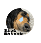 ちくわスタンプ②（個別スタンプ：32）