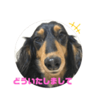 ちくわスタンプ②（個別スタンプ：33）