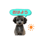 愛犬ウルくん（ウルフ由伸くん）（個別スタンプ：2）