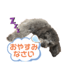 愛犬ウルくん（ウルフ由伸くん）（個別スタンプ：3）