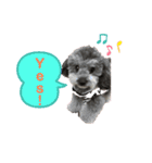 愛犬ウルくん（ウルフ由伸くん）（個別スタンプ：4）