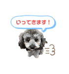 愛犬ウルくん（ウルフ由伸くん）（個別スタンプ：6）