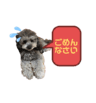 愛犬ウルくん（ウルフ由伸くん）（個別スタンプ：7）