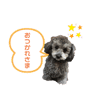 愛犬ウルくん（ウルフ由伸くん）（個別スタンプ：10）