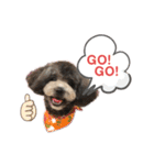 愛犬ウルくん（ウルフ由伸くん）（個別スタンプ：11）