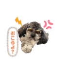 愛犬ウルくん（ウルフ由伸くん）（個別スタンプ：13）
