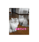 よしむねとじげん（個別スタンプ：3）