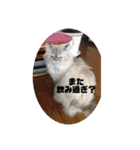 よしむねとじげん（個別スタンプ：9）