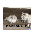 よしむねとじげん（個別スタンプ：13）